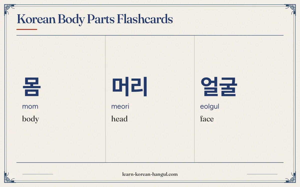 몸 · mom · body · Korean Body Parts Flashcards