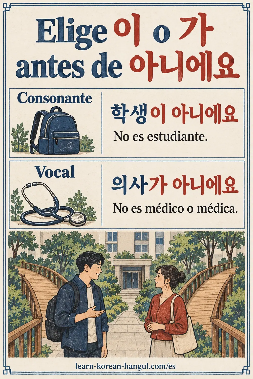 학생이 아니에요 y 의사가 아니에요 muestran 이 tras consonante y 가 tras vocal.