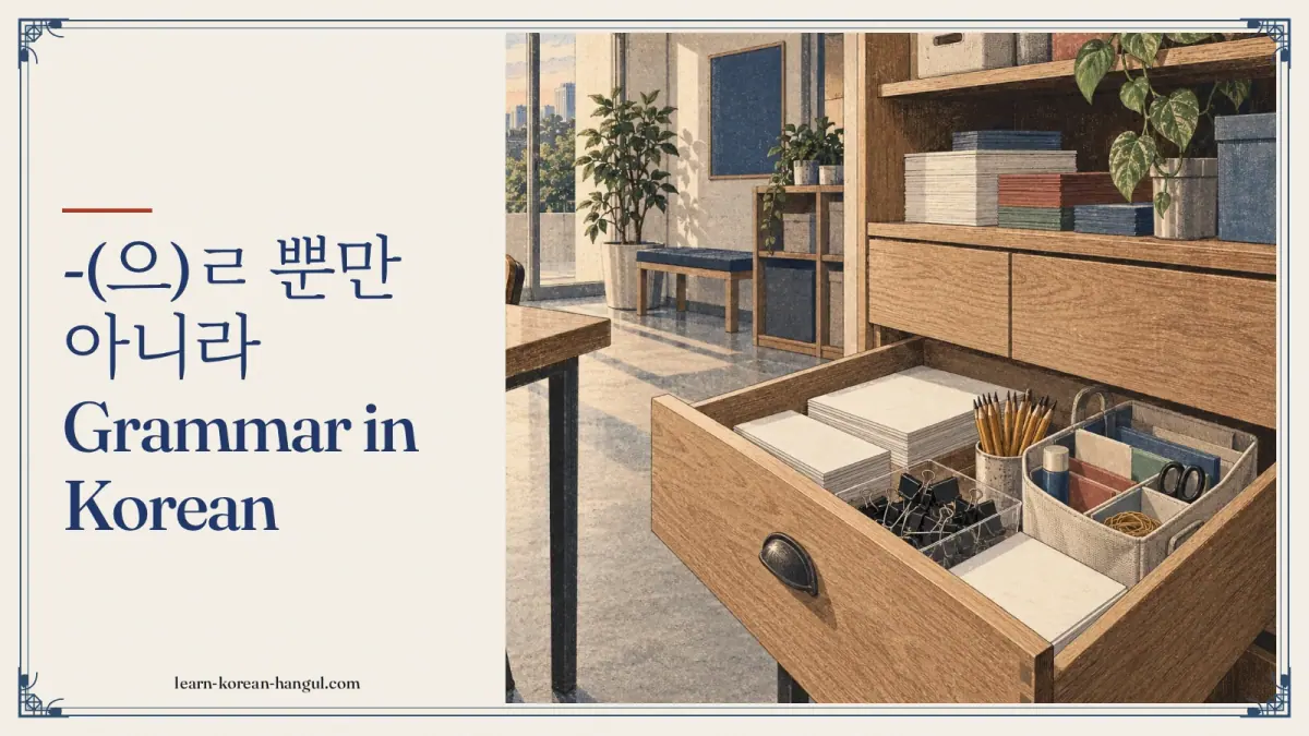 -(으)ㄹ 뿐만 아니라 grammar in Korean