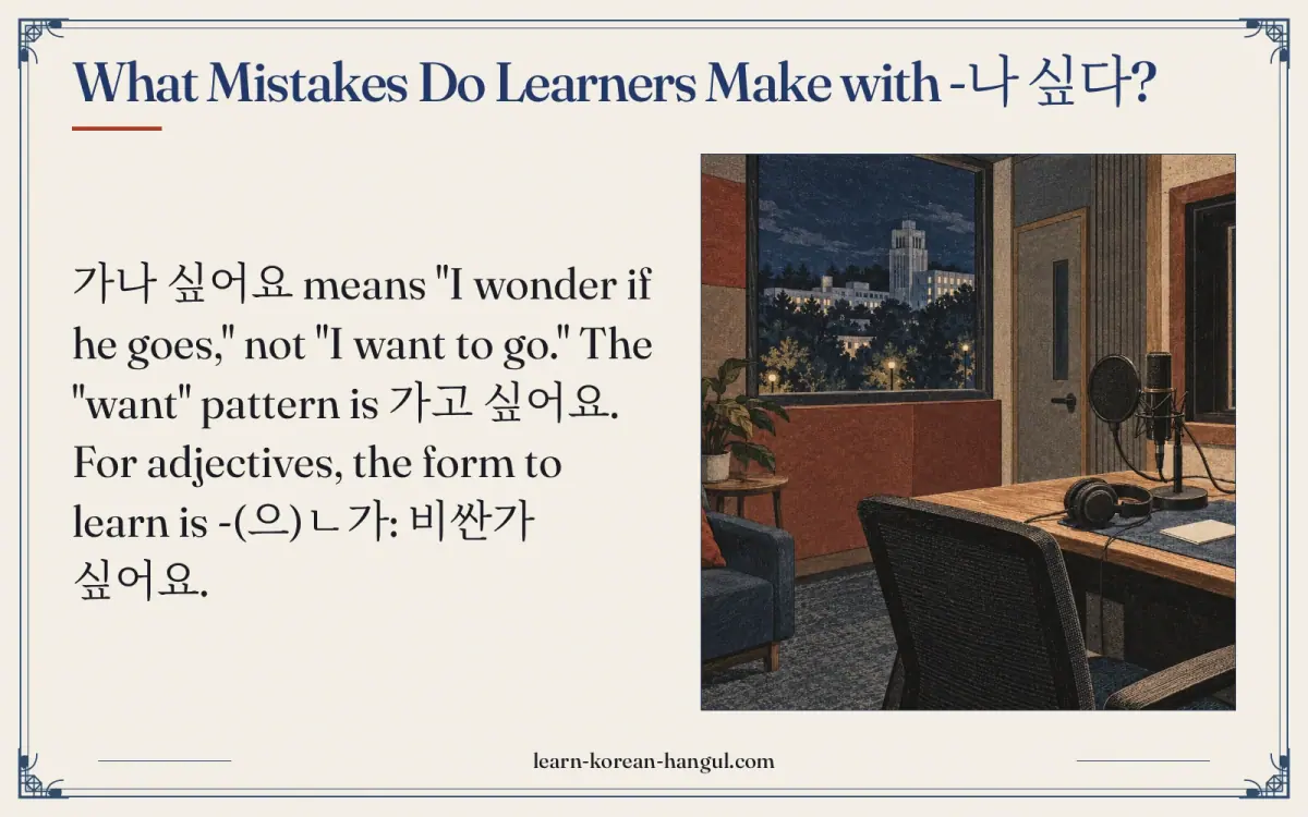 What mistakes do learners make with -나 싶다?