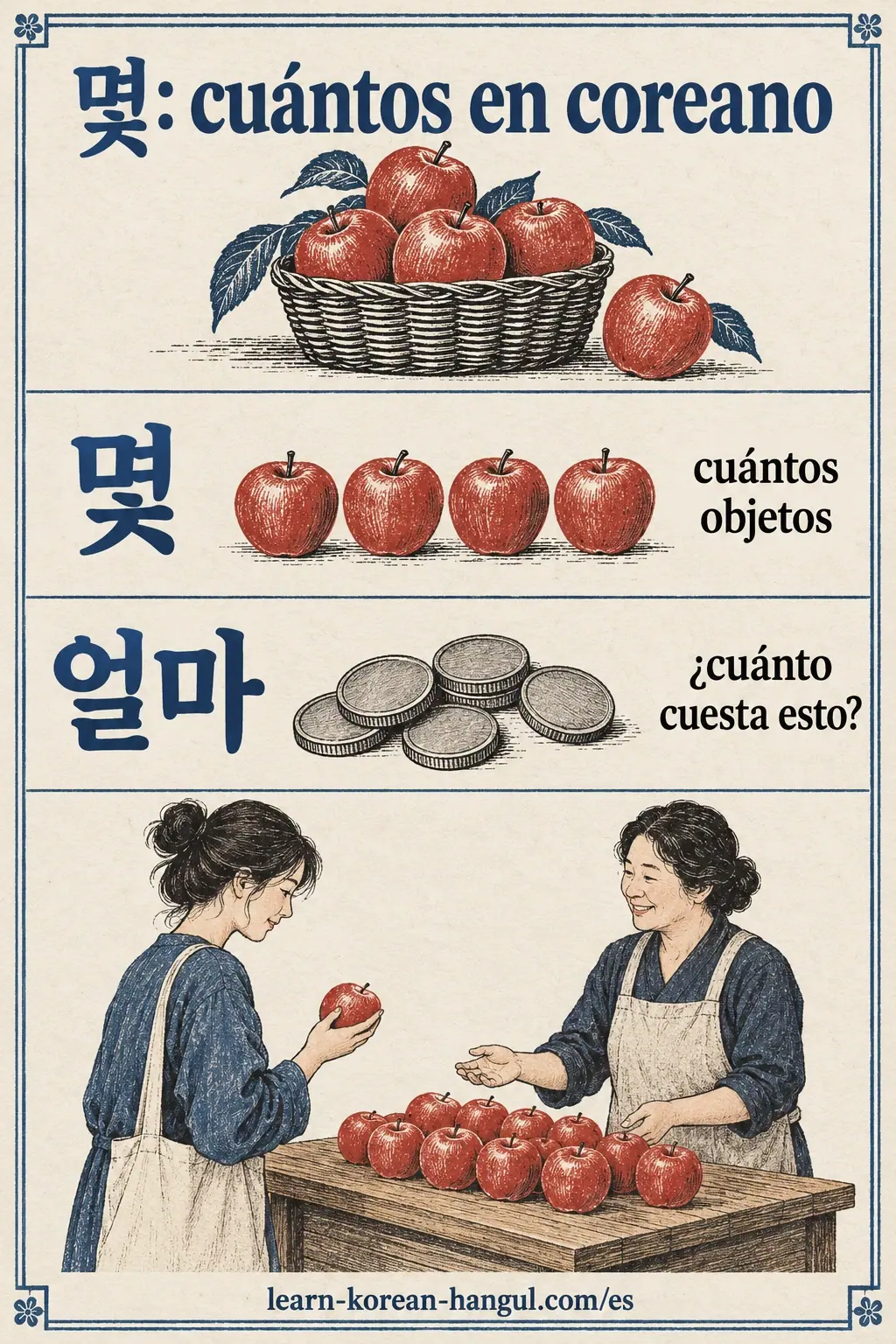 Manzanas y monedas sin texto comparan 몇 y 얼마 con significados en español.