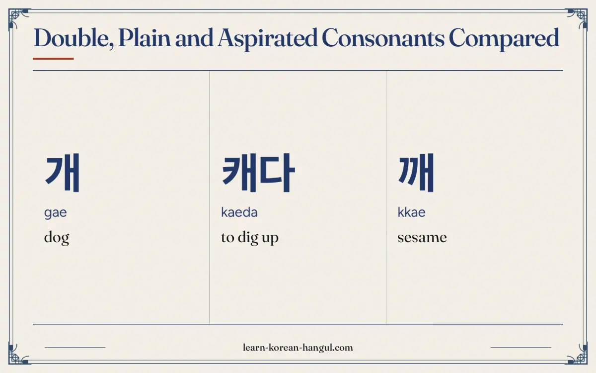 개 · gae · dog · Double, plain and aspirated consonants compared