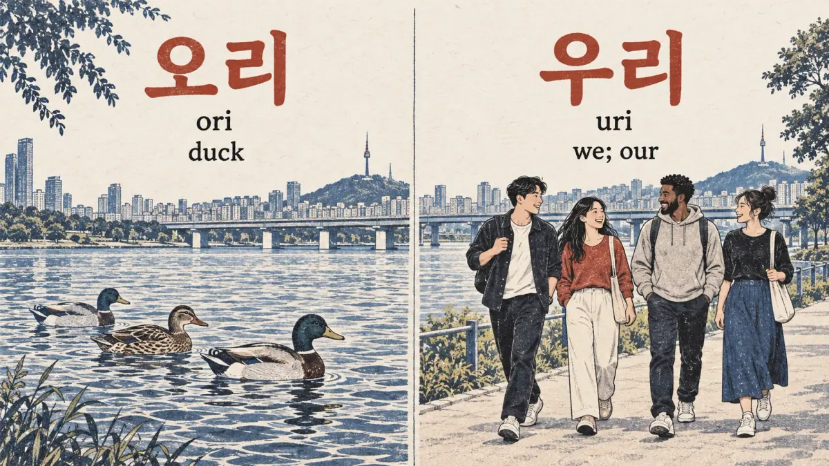 Ducks 오리 (ori) contrast with friends 우리 (uri), we; our, beside Seoul's river.