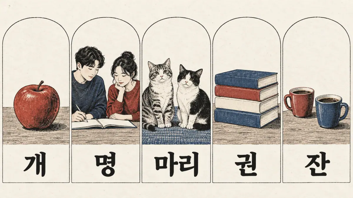 개 apple, 명 students, 마리 cats, 권 books and 잔 coffees illustrate counter categories.