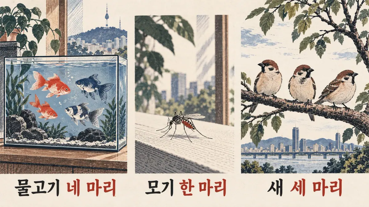 물고기 네 마리, 모기 한 마리 and 새 세 마리 label four fish, one mosquito and three birds.