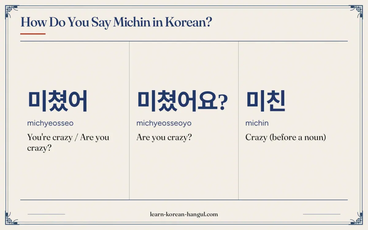 미쳤어 · michyeosseo · You're crazy / Are you crazy? · How do you say michin in Korean?
