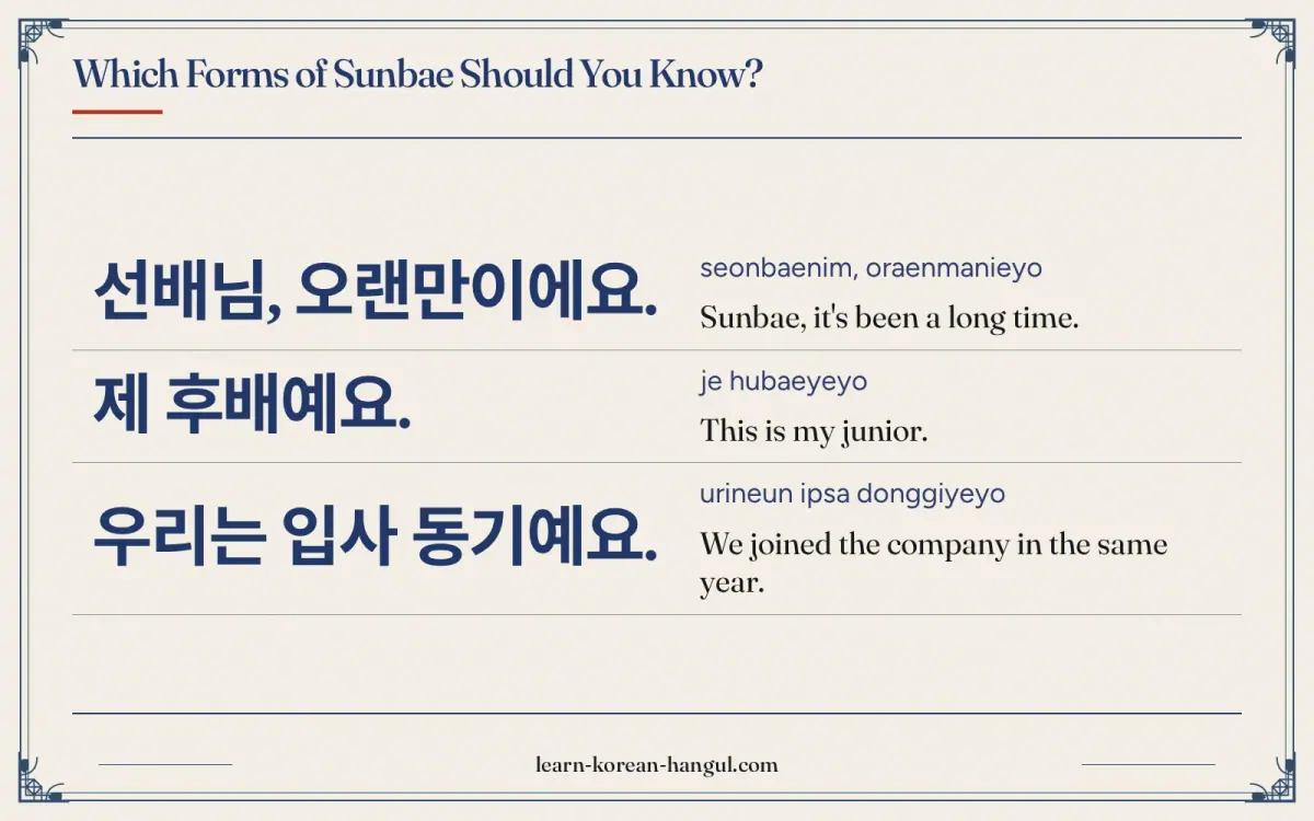 선배님, 오랜만이에요. · seonbaenim, oraenmanieyo · Sunbae, it's been a long time. · Which forms of sunbae should you know?