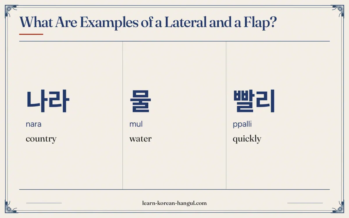 나라 · nara · country · What are examples of a lateral and a flap?