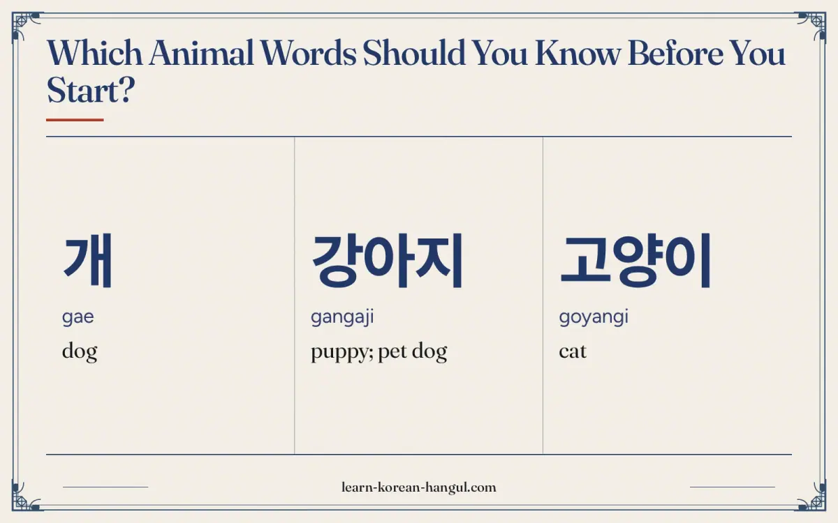 개 · gae · dog · Which animal words should you know before you start?