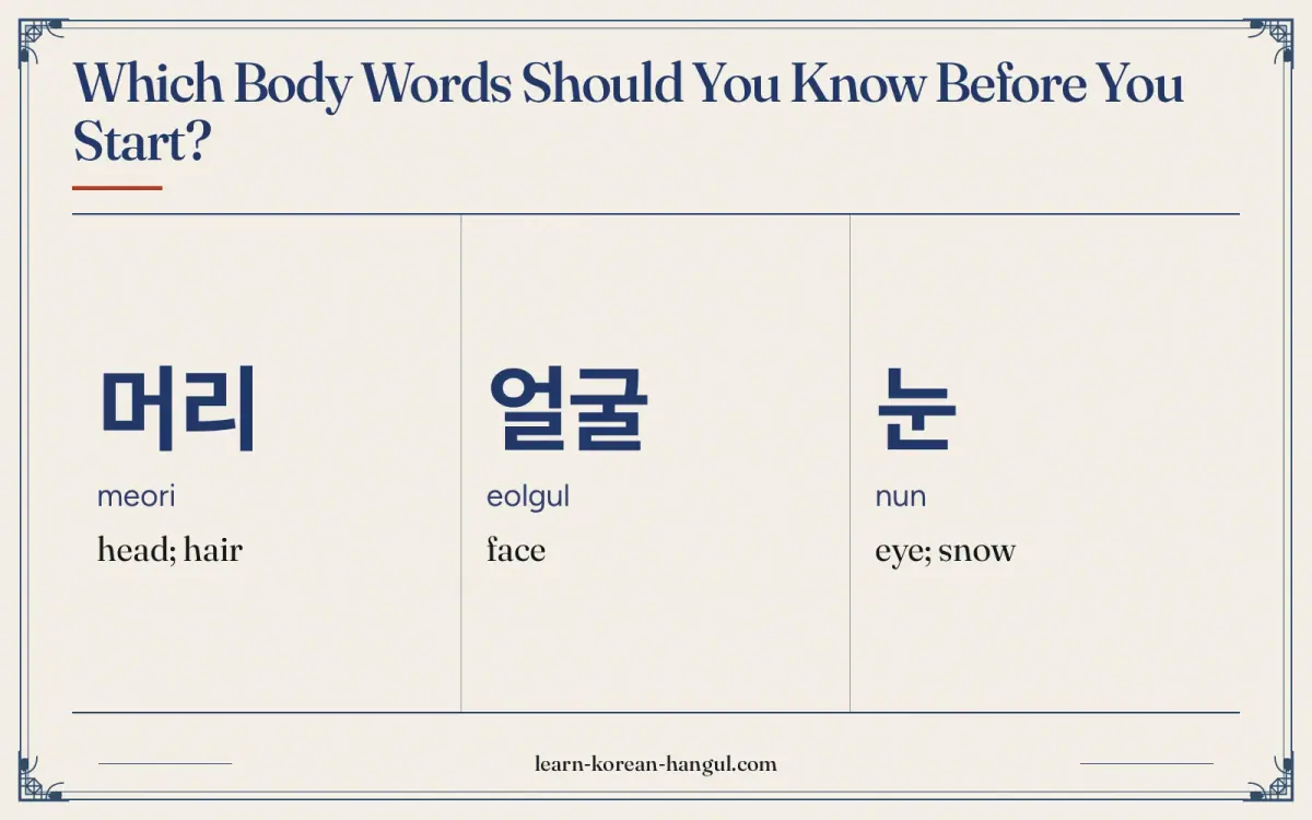 머리 · meori · head; hair · Which body words should you know before you start?