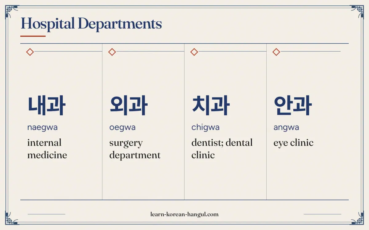 내과 · naegwa · internal medicine · Hospital departments