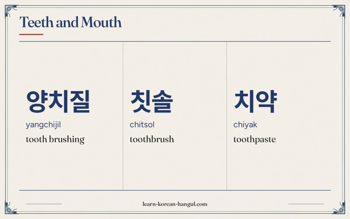 양치질 · yangchijil · tooth brushing · Teeth and mouth