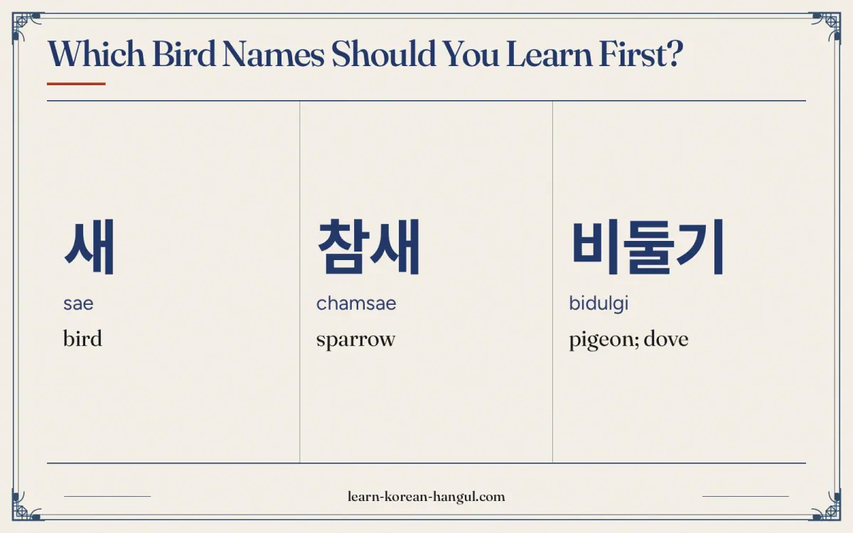 새 · sae · bird · Which bird names should you learn first?
