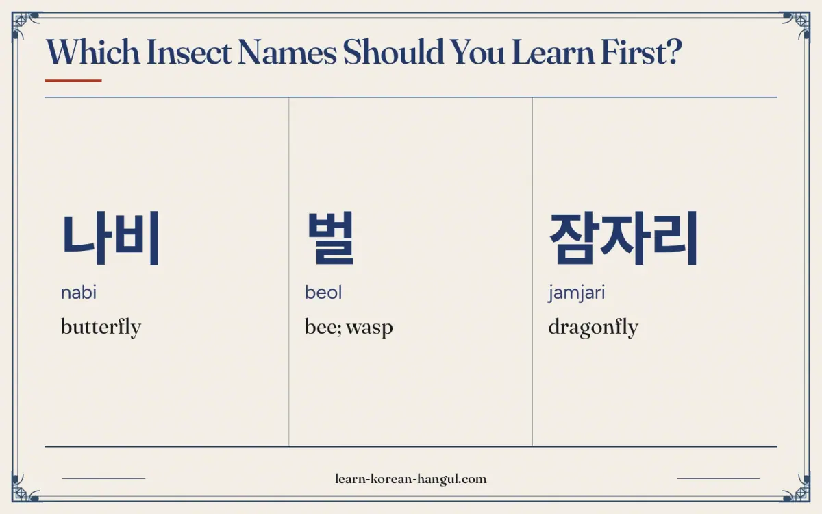 나비 · nabi · butterfly · Which insect names should you learn first?