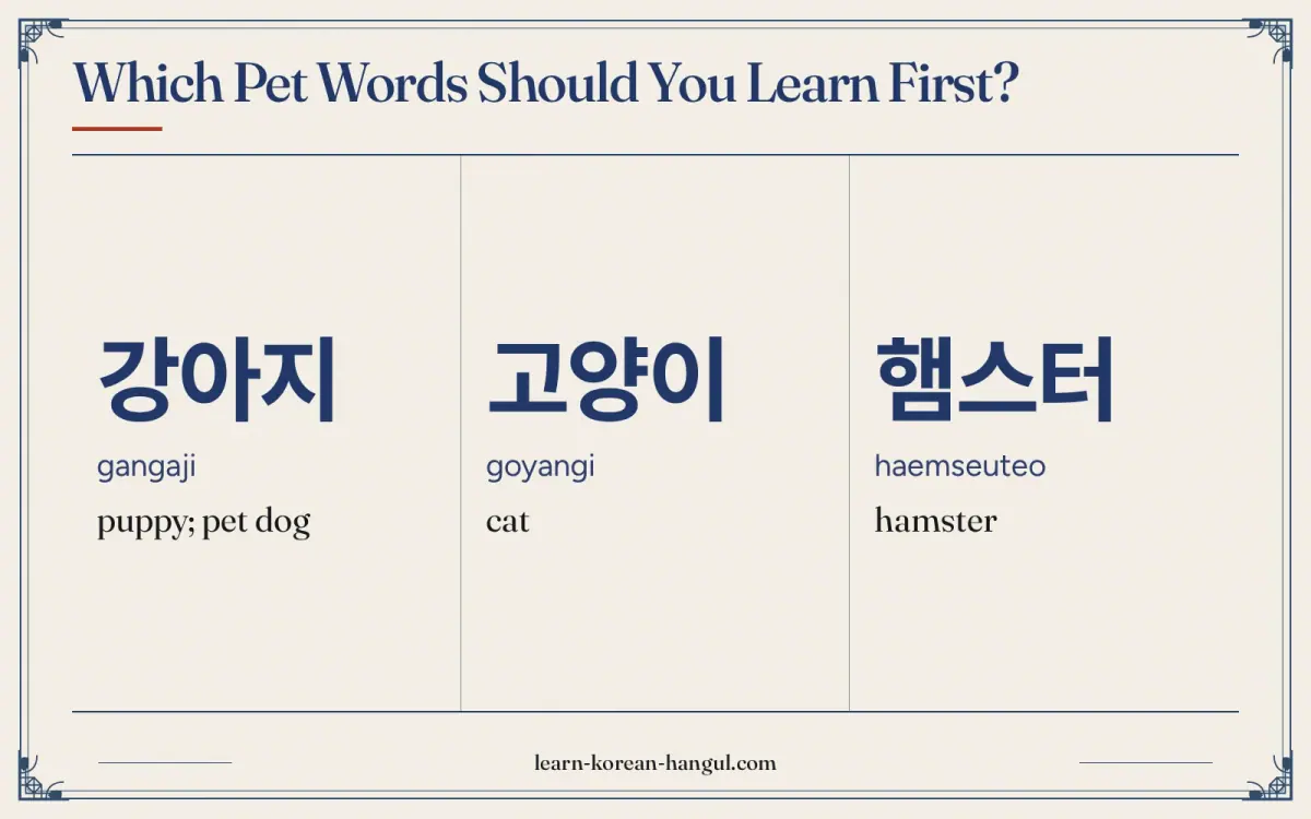 강아지 · gangaji · puppy; pet dog · Which pet words should you learn first?