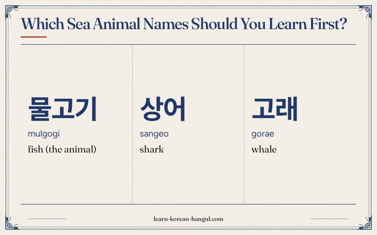 물고기 · mulgogi · fish (the animal) · Which sea animal names should you learn first?