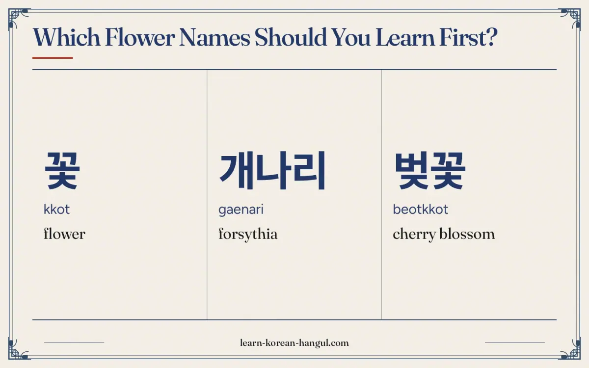 꽃 · kkot · flower · Which flower names should you learn first?
