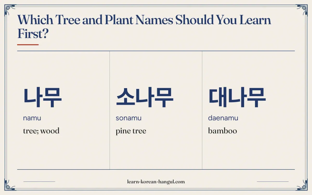 나무 · namu · tree; wood · Which tree and plant names should you learn first?