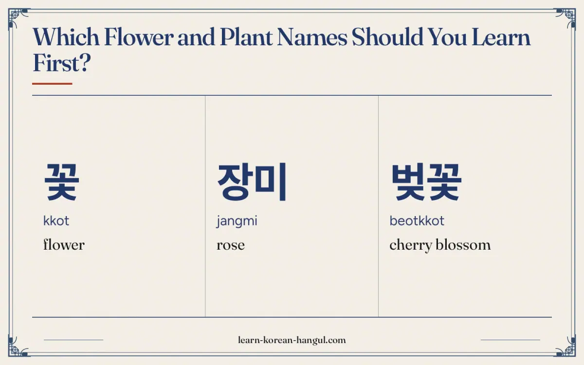 꽃 · kkot · flower · Which flower and plant names should you learn first?