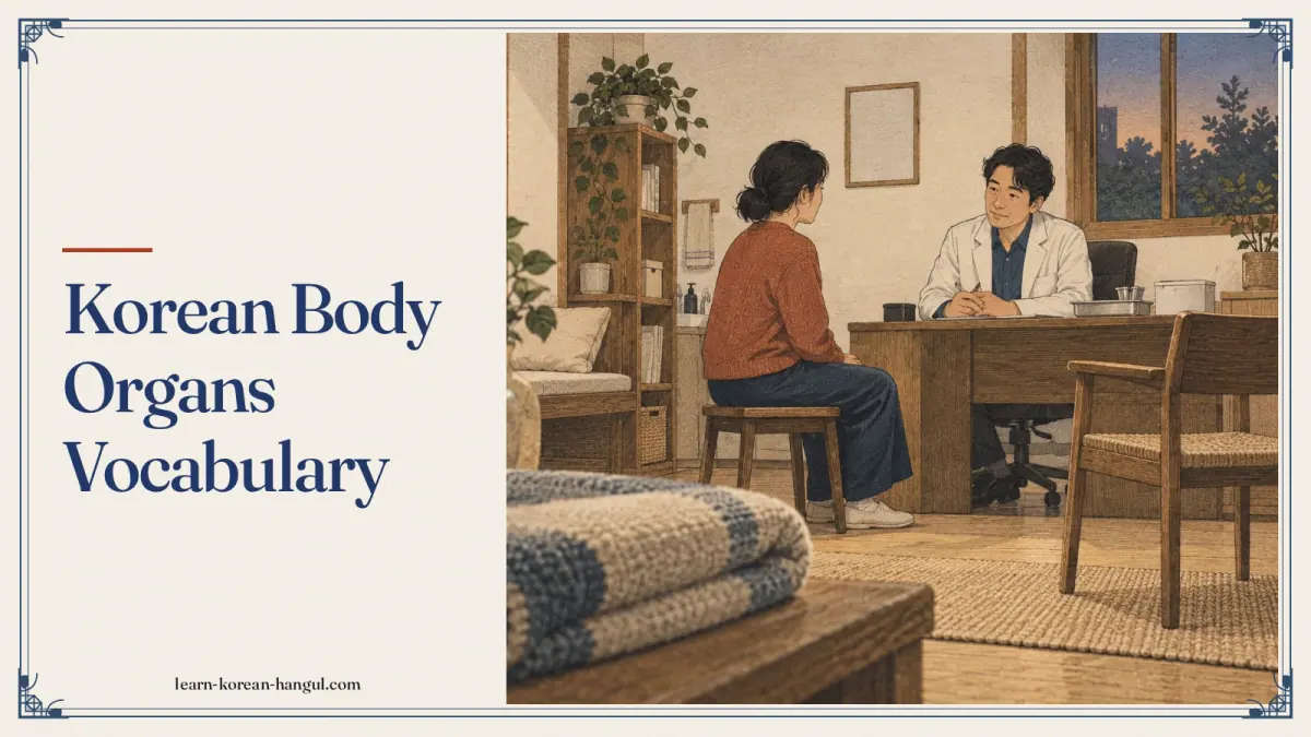Korean Body Organs Vocabulary