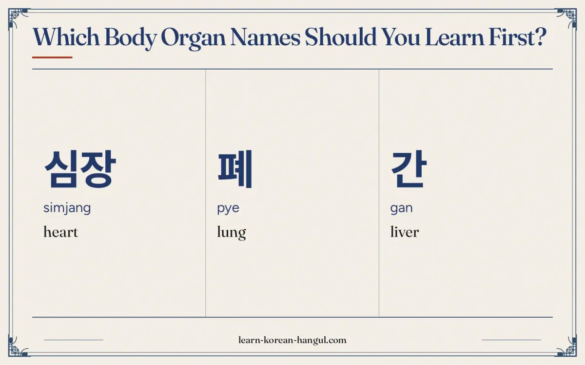 심장 · simjang · heart · Which body organ names should you learn first?