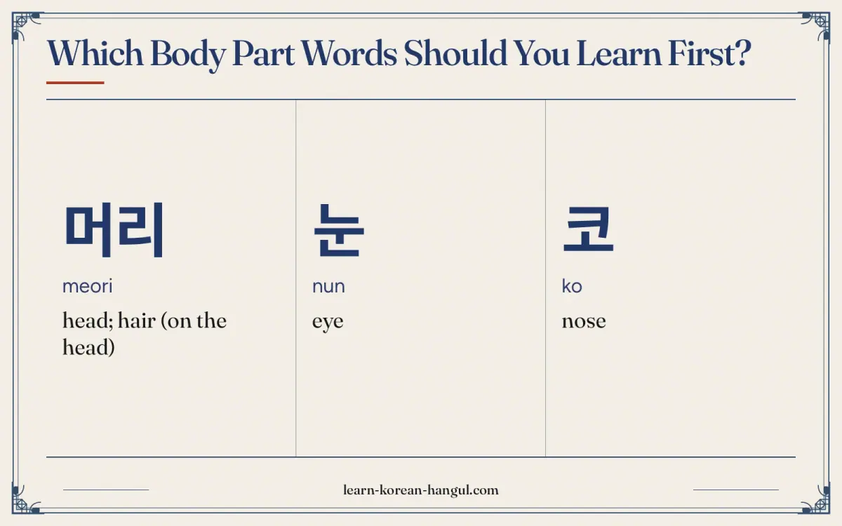 머리 · meori · head; hair (on the head) · Which body part words should you learn first?