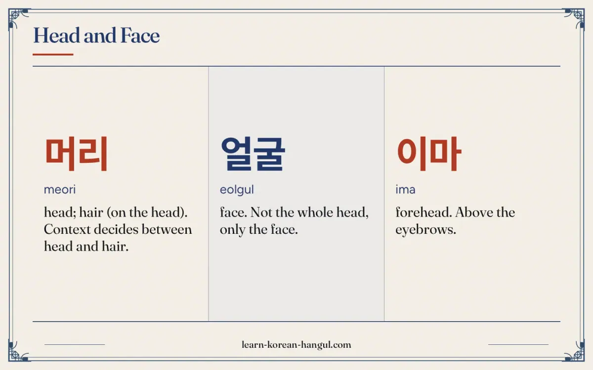 머리 · meori · head; hair (on the head). Context decides between head and hair. · Head and face