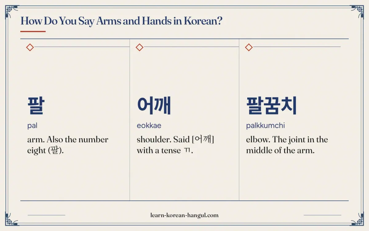팔 · pal · arm. Also the number eight (팔). · How do you say arms and hands in Korean?