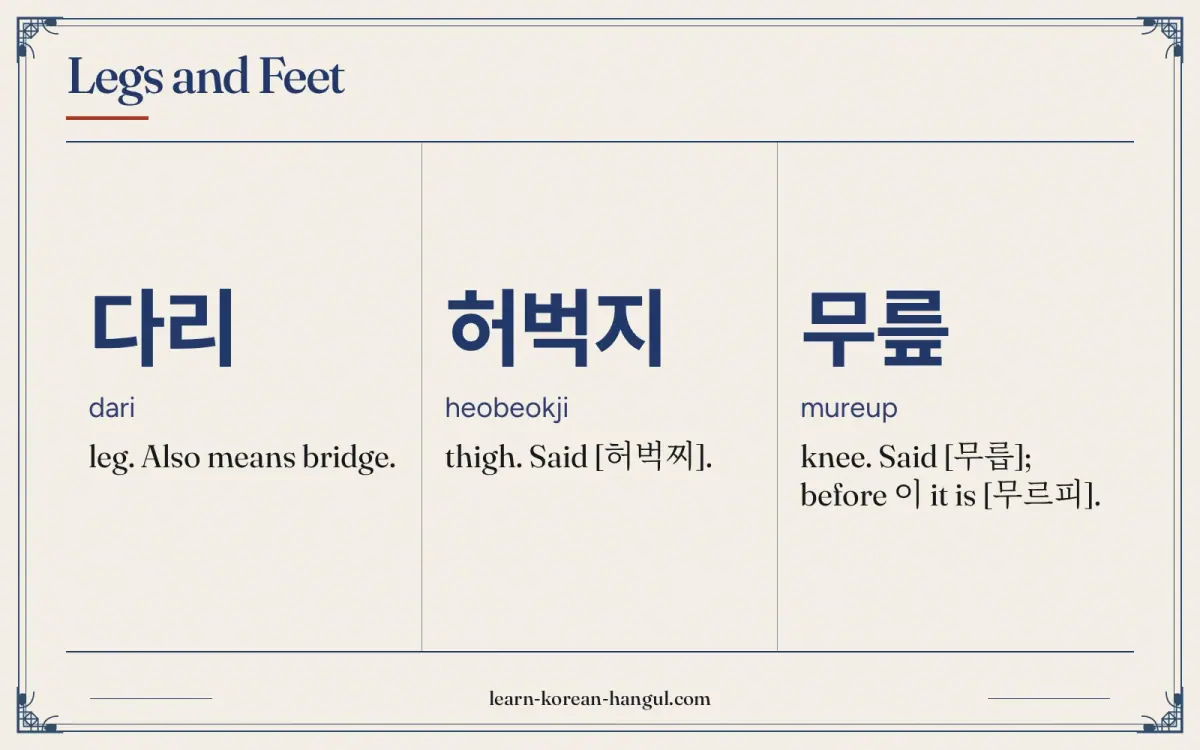 다리 · dari · leg. Also means bridge. · Legs and feet