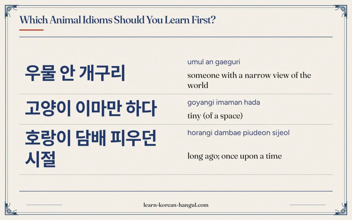 우물 안 개구리 · umul an gaeguri · someone with a narrow view of the world · Which animal idioms should you learn first?